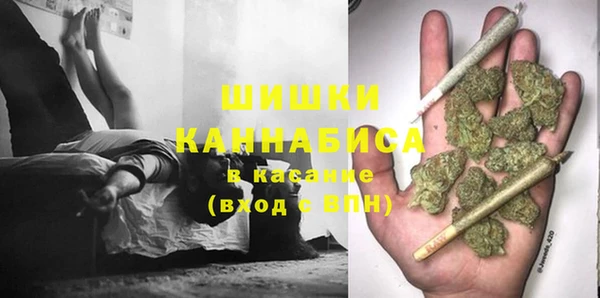 крисы Краснослободск