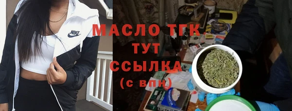 крисы Краснослободск