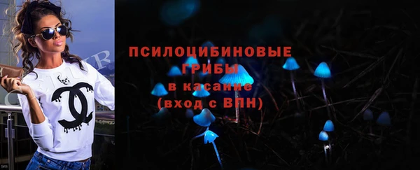 мдпв Корсаков