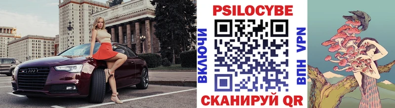 Псилоцибиновые грибы Psilocybe Болгар